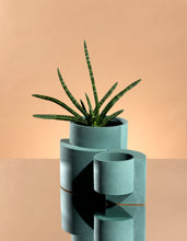 Load image into Gallery viewer, Platform Planter Jungle, Medium
