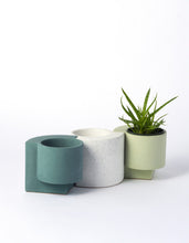 Load image into Gallery viewer, Platform Planter Mint, Small
