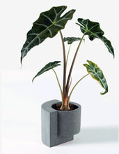 Load image into Gallery viewer, Platform Planter Graphite, Small
