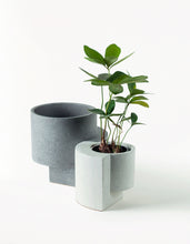 Load image into Gallery viewer, Platform Planter Graphite, Medium
