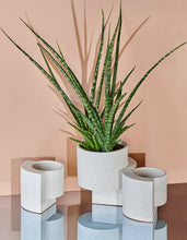 Load image into Gallery viewer, Platform Planter White, Small
